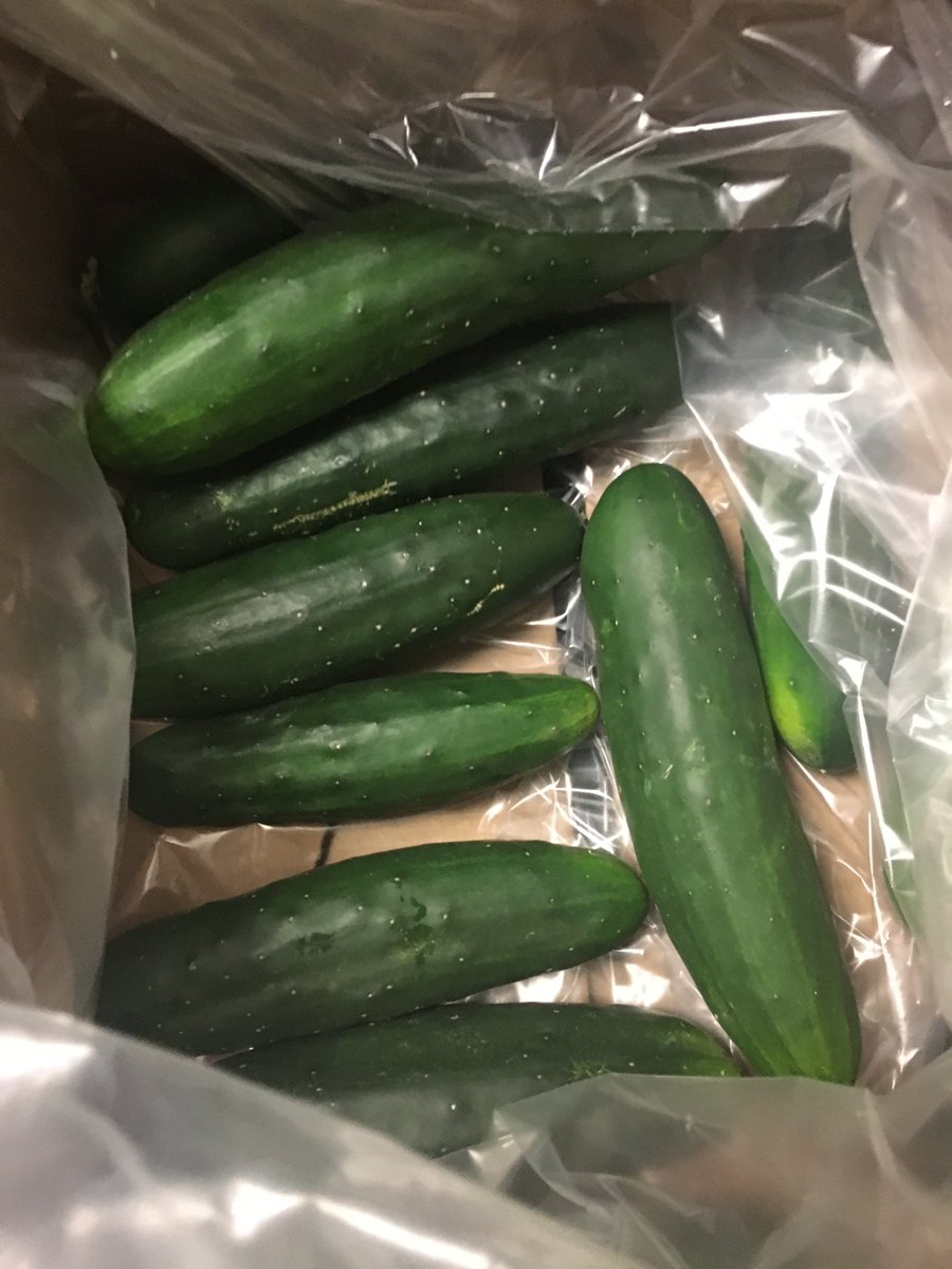 GFGExpressUNR's tweet photo. UNR High Desert Farming Initiative just dropped off these beauties! Doesn't get more local than this. https://t.co/HKIfbWePrJ