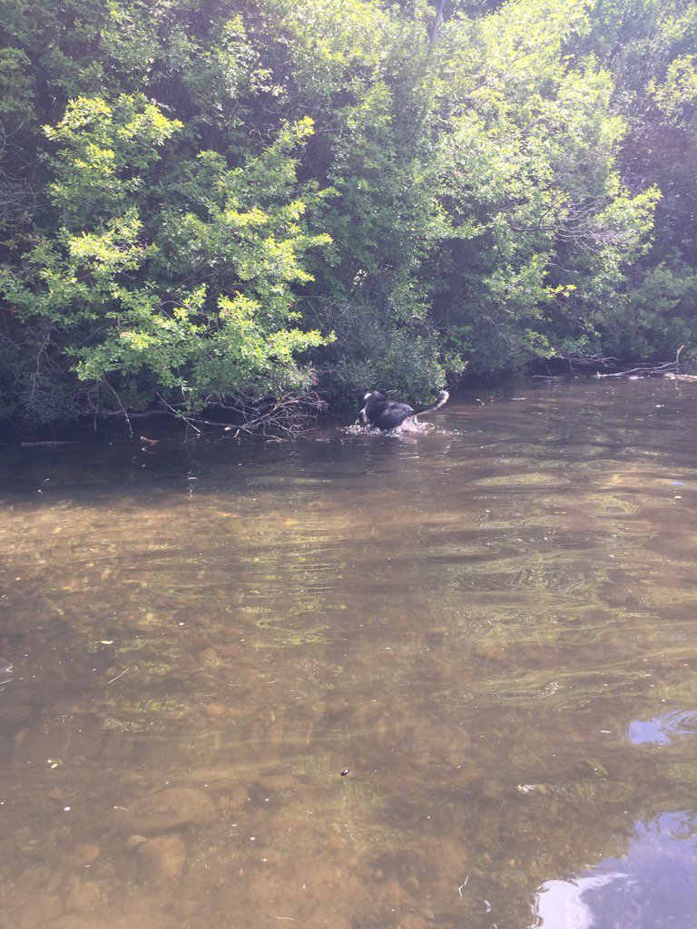 Paul Courant tweet media