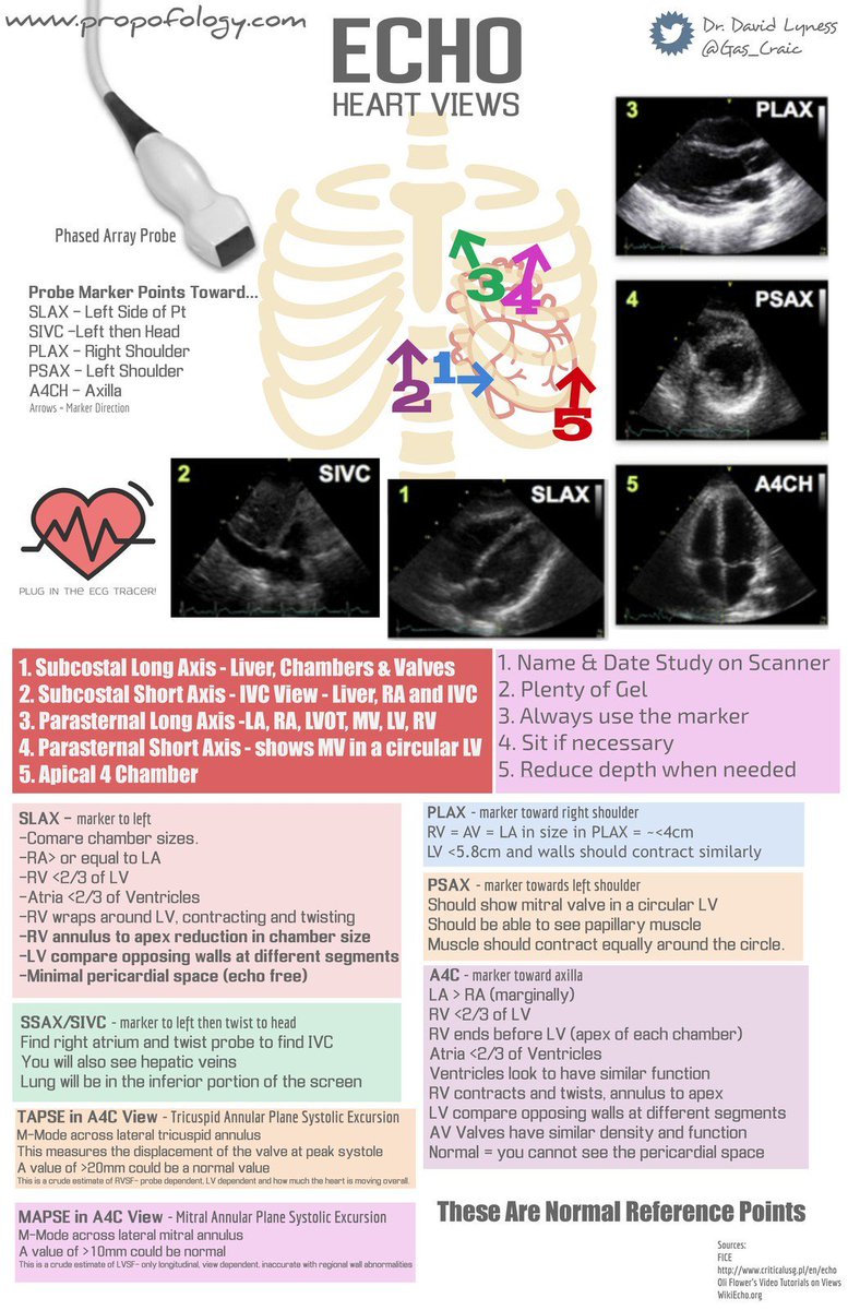 david lyness on twitter pocus heart echo views smaccdub