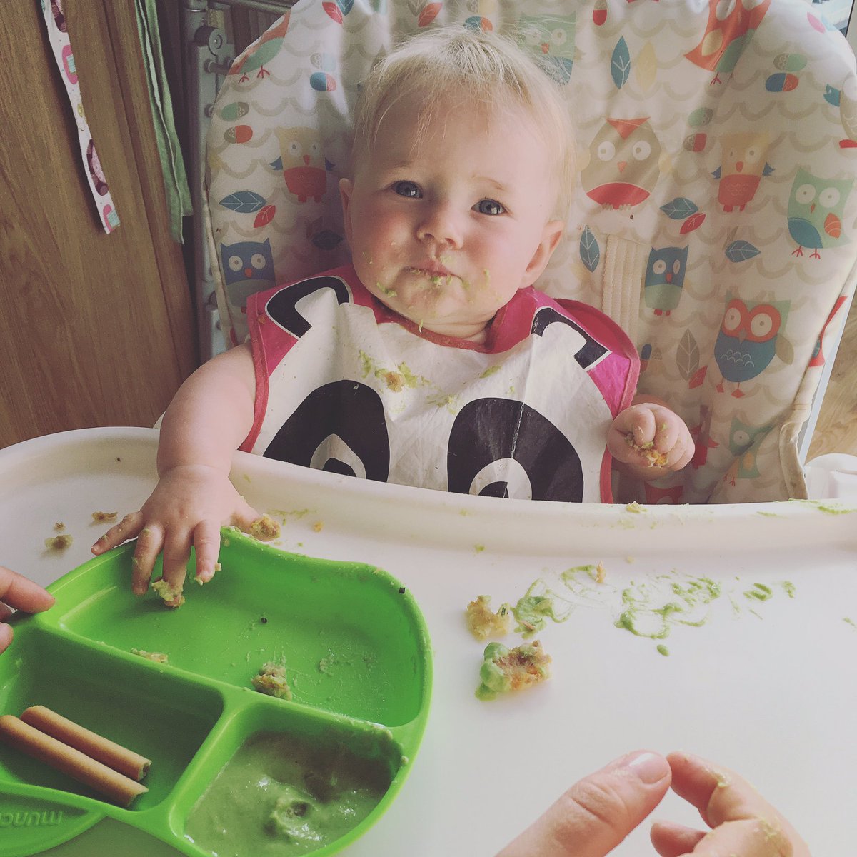 Mrs_RForsyth's tweet photo. Trying some finger foods - tuna fish cakes & pea dip @EllasKitchenUK #ellaskitchenfirstfoods #shelovedthem https://t.co/jMJ6nZigQb