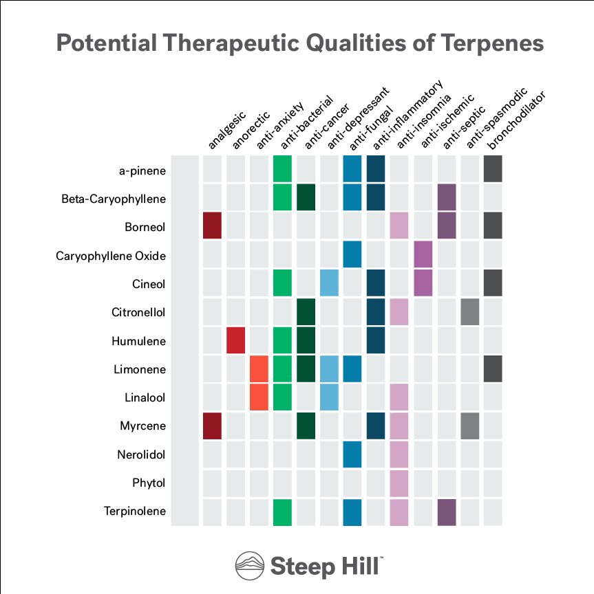 Don't ignore terpenes! Potency isn't just about #THC.

steephill.com/science/terpen…

#mmj #cannabis #dabs #710 #fire