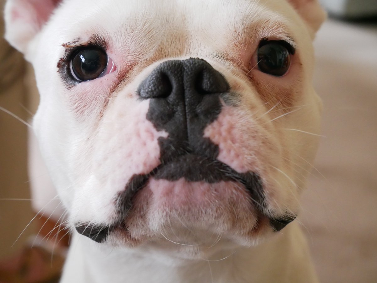 shutter_buggers's tweet image. Yolk's camera check