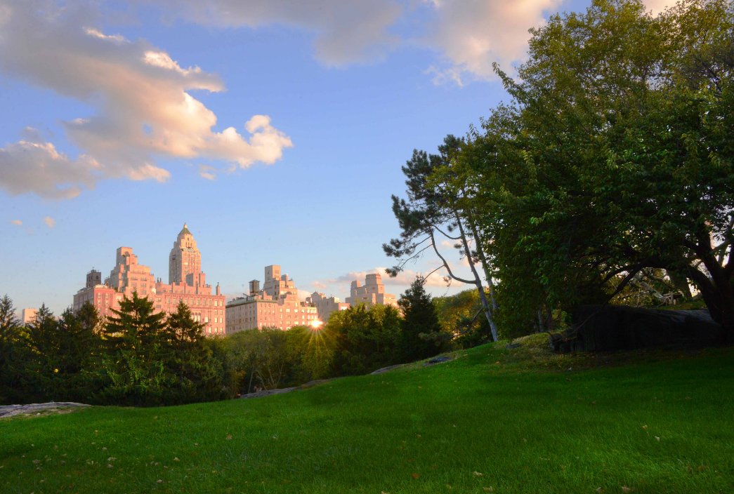 CarnegiePark tweet picture
