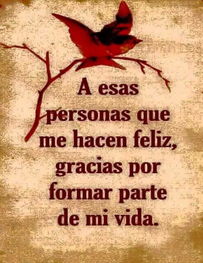 candrearomero's tweet photo. Qda  prohibido levantarse sin ilusiones, vestirse sin esperanzas, salir a la calle sin fe y andar sin amor @Anboy88 https://t.co/QGERZY7CkA