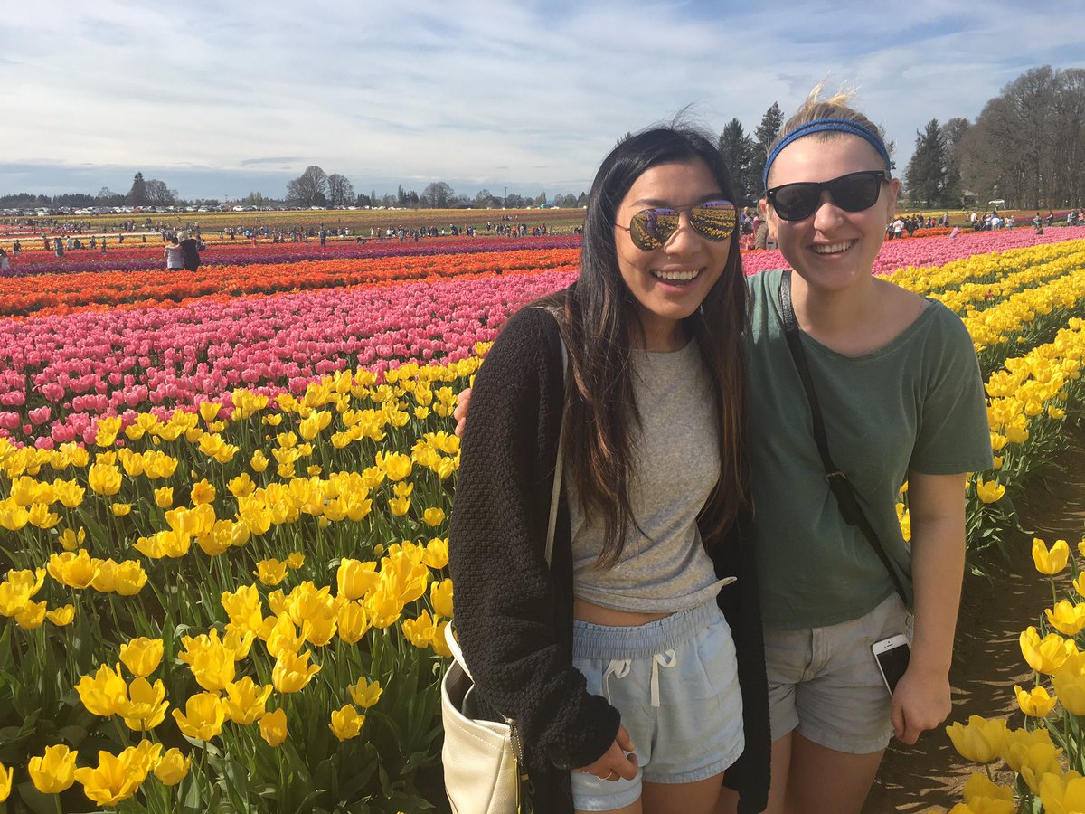 Claire Gillies (Claire__Gillies) Twitter