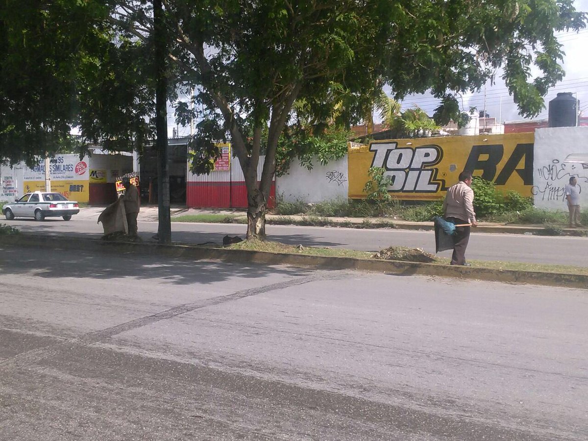 EmmanuelZetina's tweet photo. Limpieza en camellon de #AvNichupte @VivoEnCancun @PaulCarrillo2 @noraviviana @kikeruizdzul https://t.co/qP939dbXnO