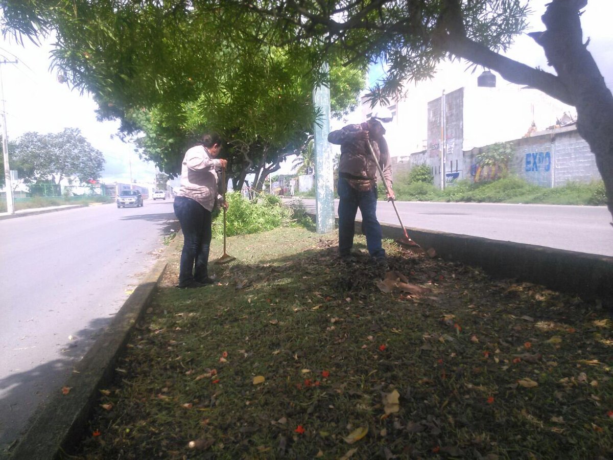 EmmanuelZetina's tweet photo. Limpieza en camellon de #AvNichupte @VivoEnCancun @PaulCarrillo2 @noraviviana @kikeruizdzul https://t.co/qP939dbXnO