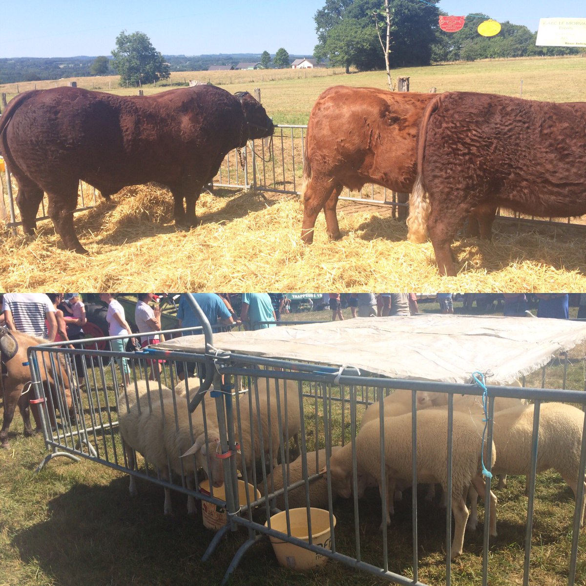Prefet19's tweet photo. SP Ussel au comice agricole cantonal d'Eygurande à Monestier-Merlines #Corrèze. Richesse et diversité du territoire https://t.co/1ilHKGuVYv