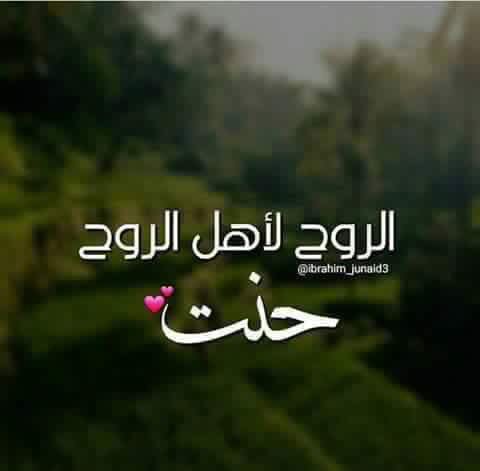 قدر مكتوب (@u1_fw) on Twitter photo 