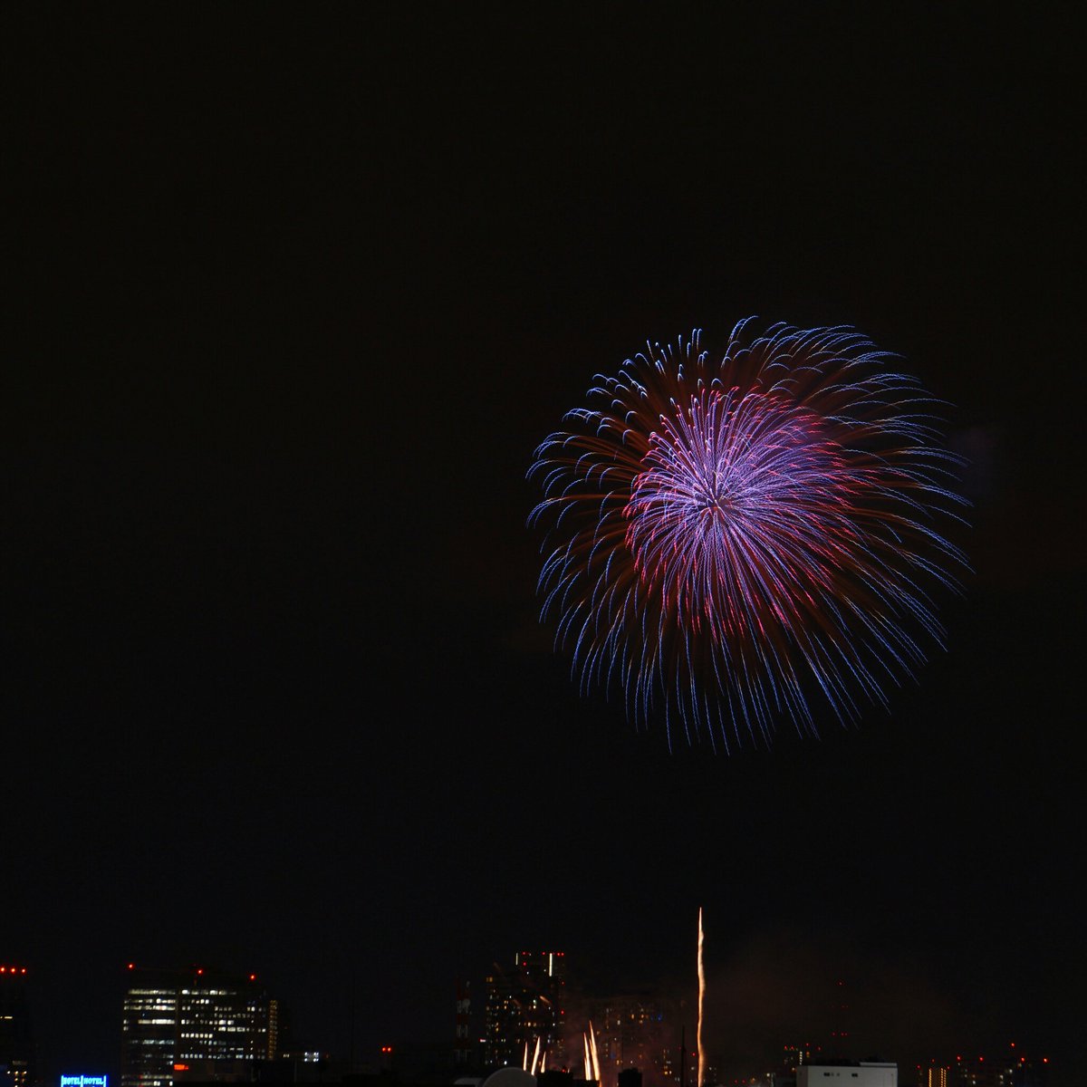 六郷土手花火 六郷土手花火