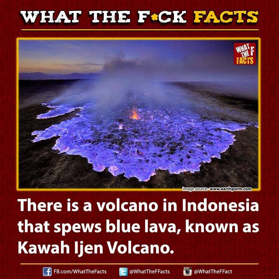 WhatTheFFacts's tweet image. 