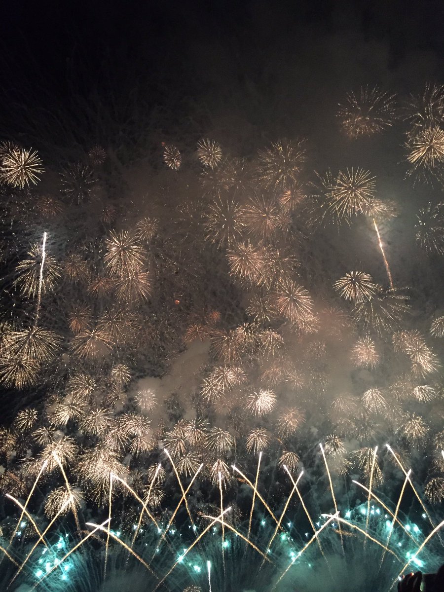 ここで今年の長岡花火晒す！！