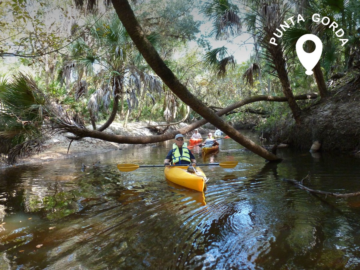 RealPureFlorida's tweet photo. Kayak through the lush Cypress and Oak trees of #ShellCreek as you keep an eye out for local wildlife. https://t.co/OGTPeUgkun