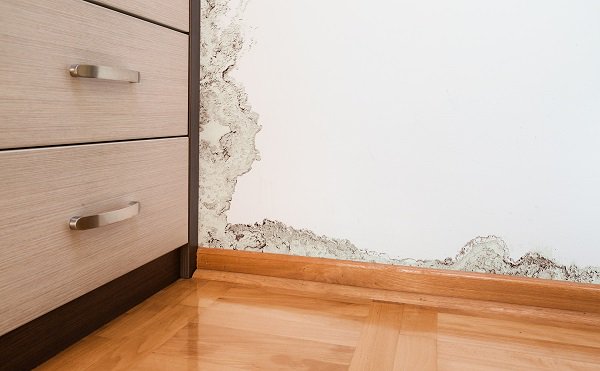 propertyclaimmk's tweet photo. Top 10 #Tips for preventing mold after your #Home is water damaged!
https://t.co/Na0Sv20xfu https://t.co/2eO2eJMKTL