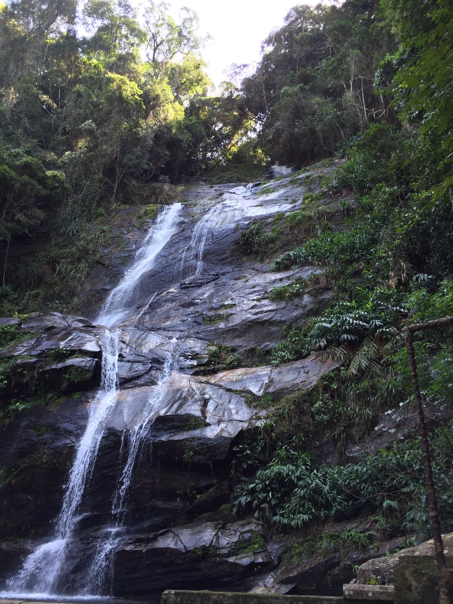 JDB2T's tweet photo. Beautiful morning in the lush jungle setting of Tijuca National Park. Heading to the ocean. https://t.co/ghadXxHGyy