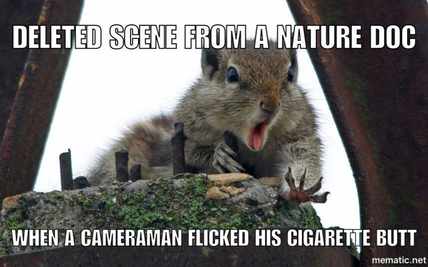 flickyoucmpgn's tweet photo. Your cigarette litter damages the #environment.  There I said it. #FLICKYOU #FLICKRESPONSIBLY  #mondaymotivation https://t.co/MqVkurSUTH
