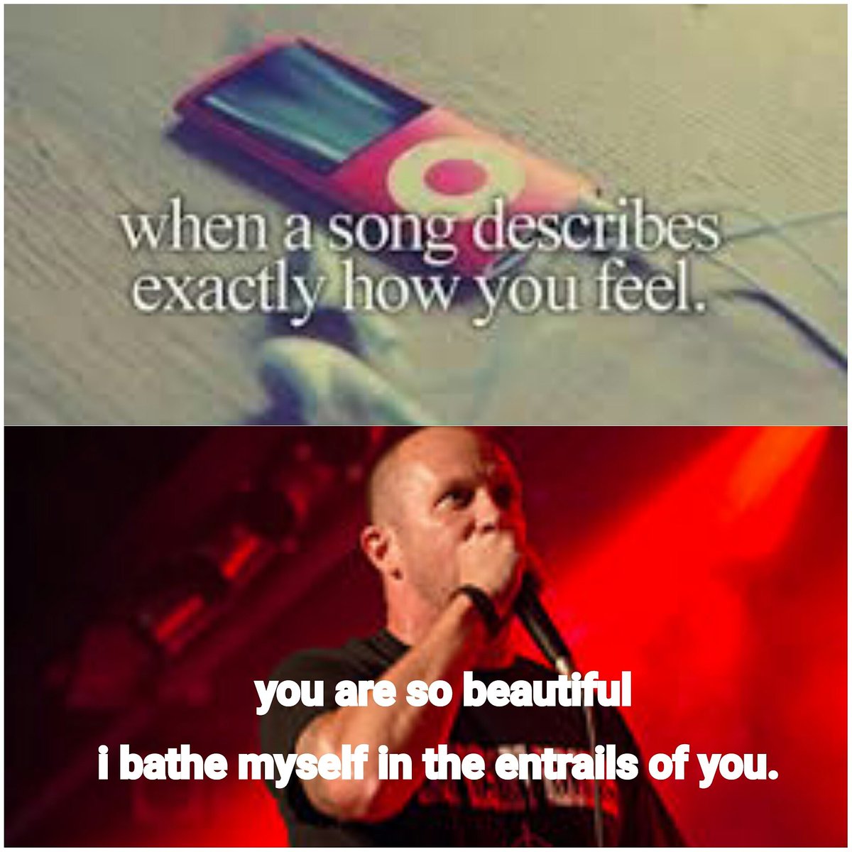 jakester47000's tweet photo. #SuffocationBand #EntrailsOfYou #MetalMemes https://t.co/P7toglCbpl