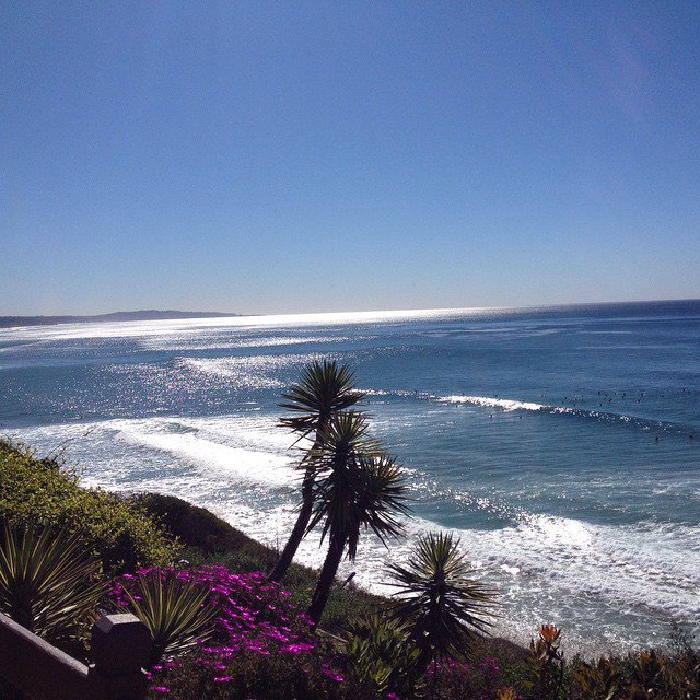 Samsonyadig's tweet image. The Self Realization Meditation Gardens looking towards La Jolla. @RepOfEncinitas