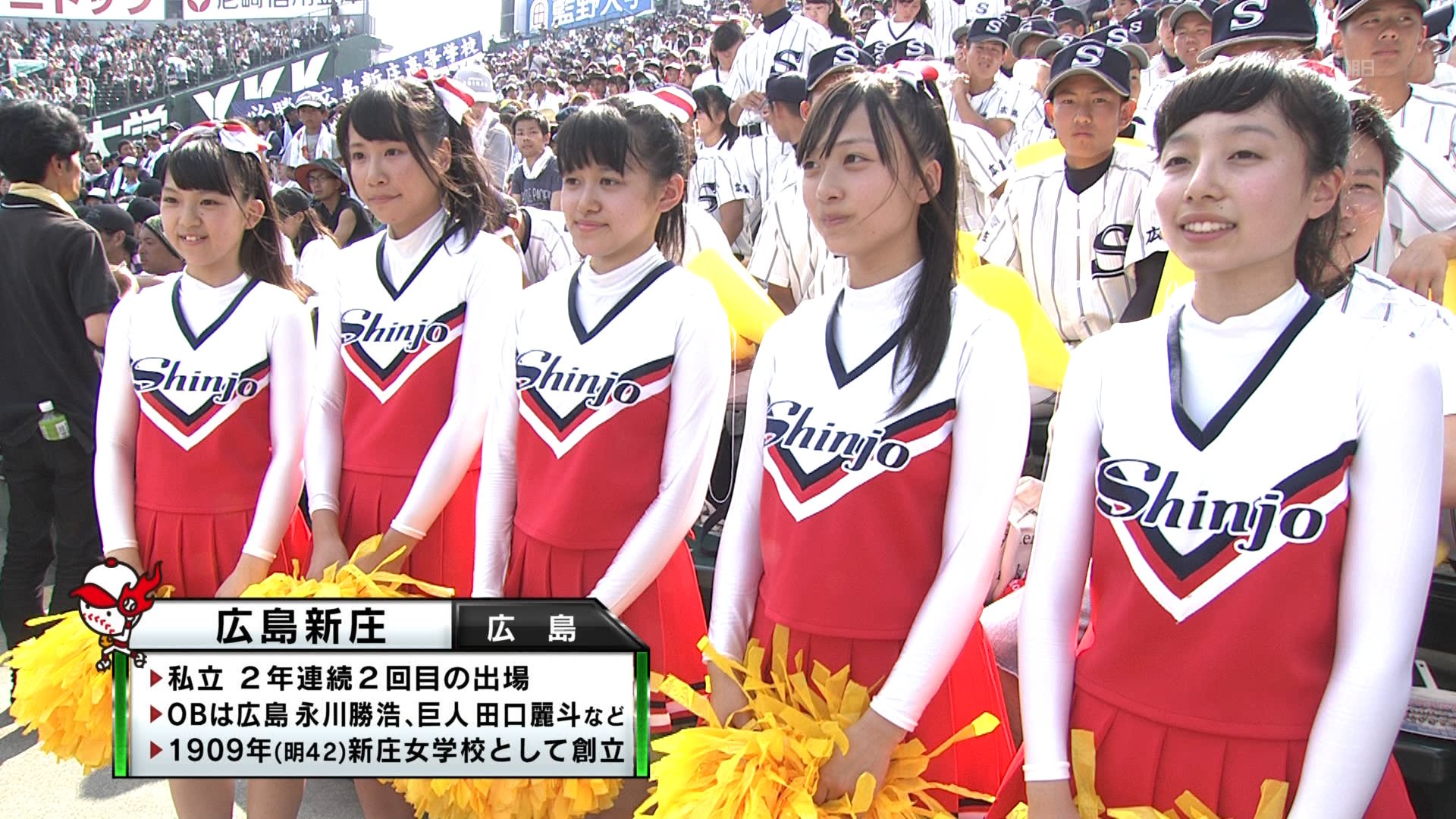 活動歴および当時の関連ビジュアル記録