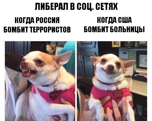 Володя (@vkholstinin) on Twitter photo 