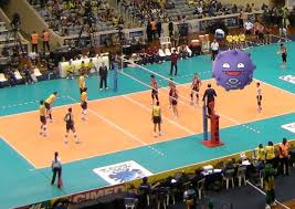 HaunterPGO's tweet photo. @BlancheLeader @Koffing is the new official volleyball of the Olympics. https://t.co/bEiZHAW0RH