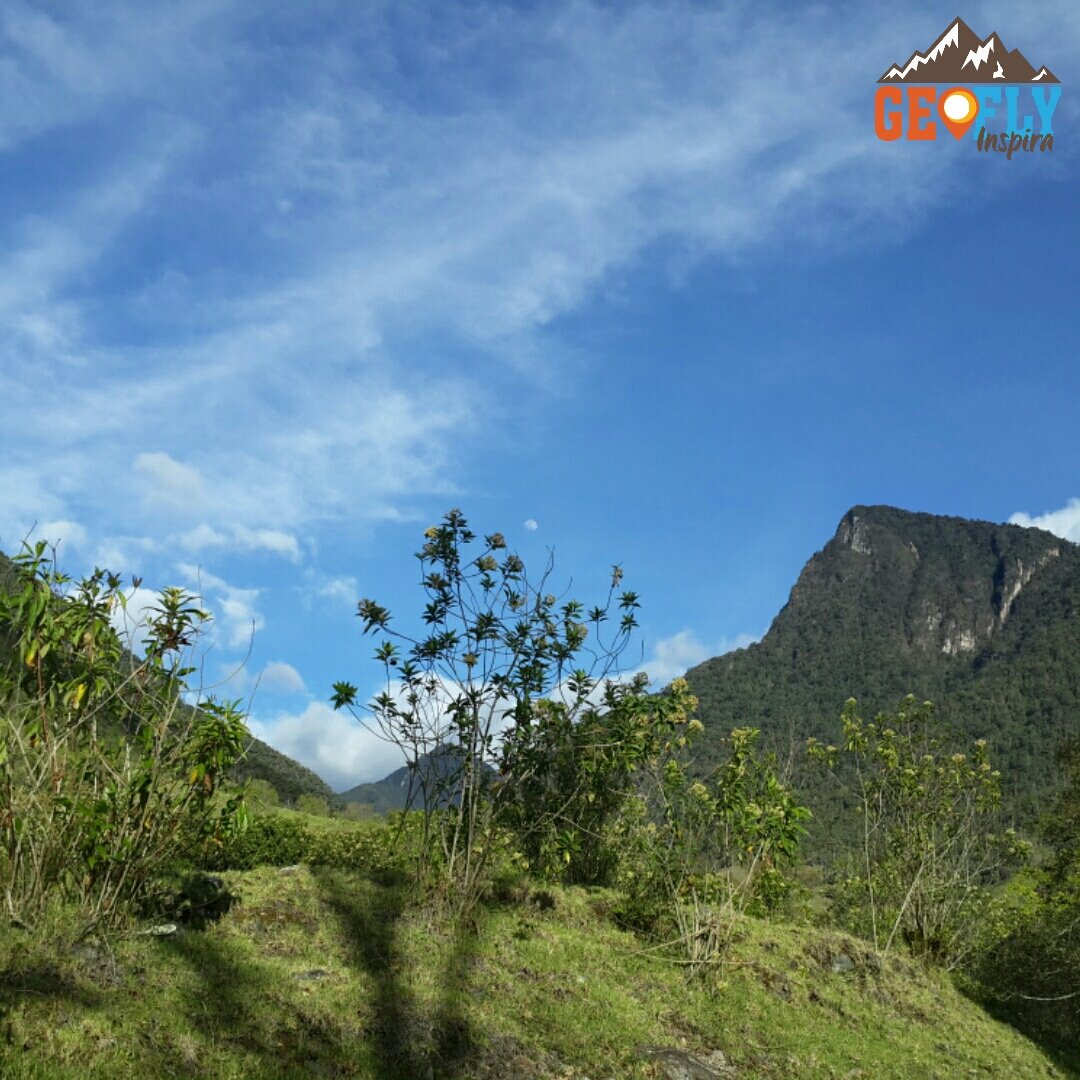 GEOFLYINSPIRA's tweet photo. [FELIZ SEMANA] Desde #ValleDeCocora #Salento y a tí que es lo que más te inspira? Visítenos https://t.co/8WG4mMiJU5 https://t.co/gZbCzH80h9