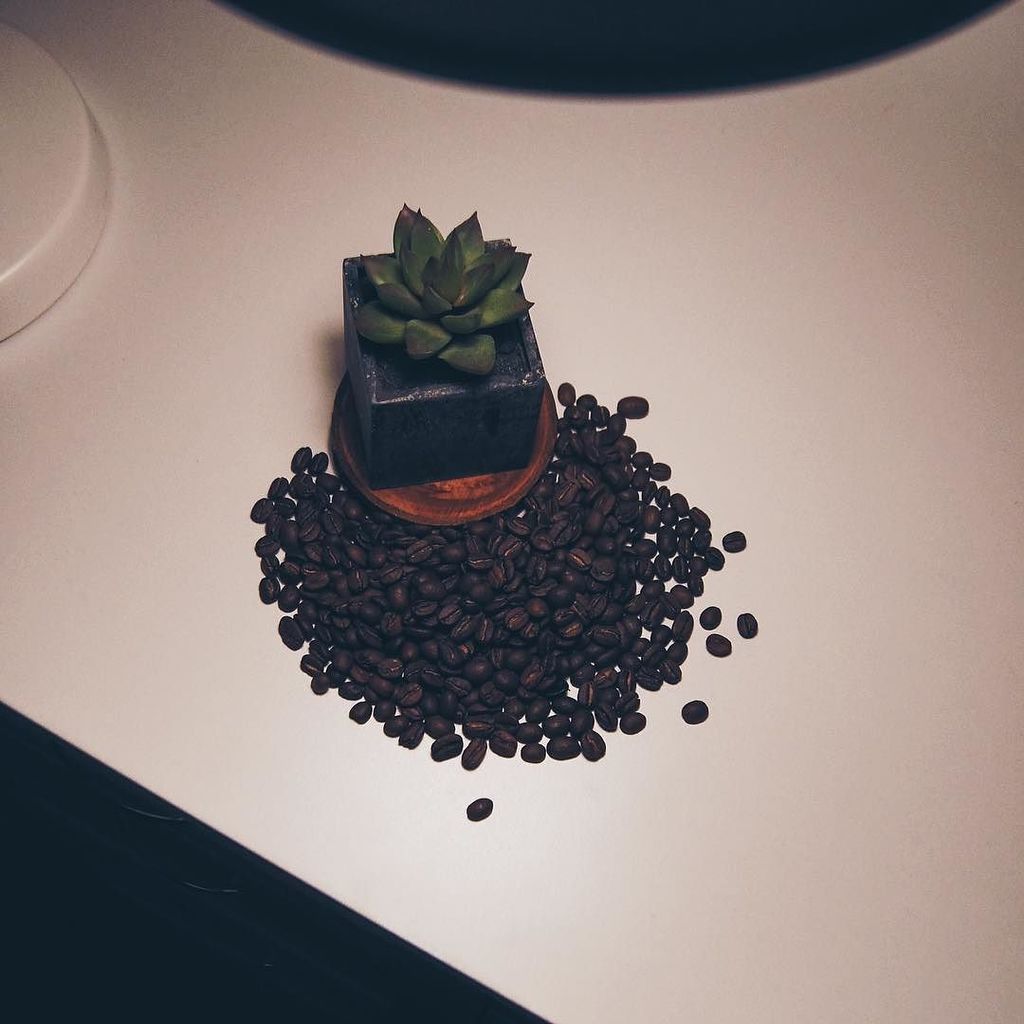 rhythmcoffee's tweet photo. We drink coffee. We sell coffee. Order some up! Link in bio. ☕️
•
•
•
•
•
•
•
•
#seveneight #blackbag #freshcoffee … https://t.co/wSCWhAR9SF