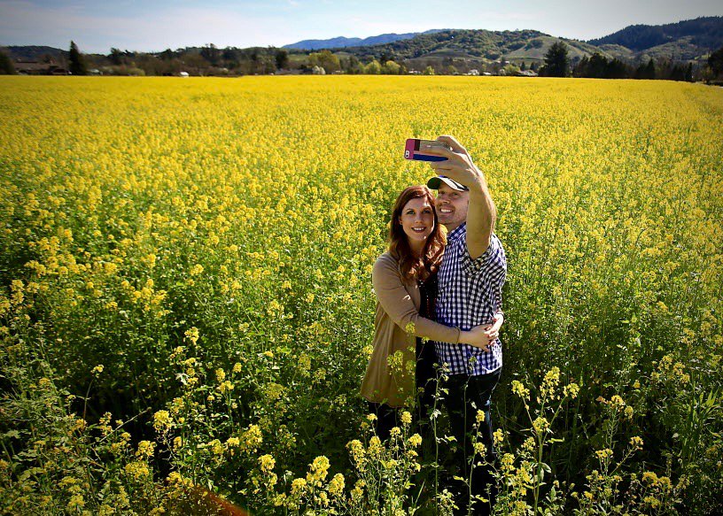 22 Instagram-worthy spots in Sonoma County: sonomamag.com/instagram-wort…