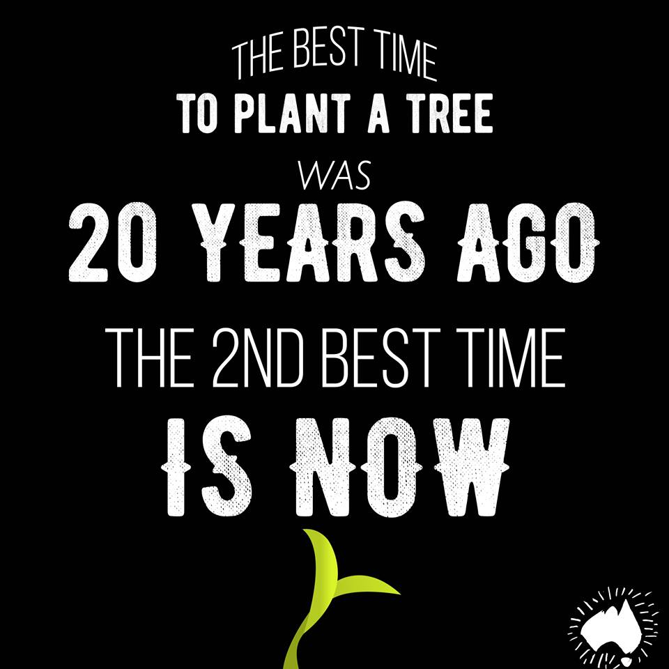 CleanUptheWorld's tweet photo. Don't wait, the best time to start making a difference is now #cleanuptheworld #environment https://t.co/pjpnDxw8xs