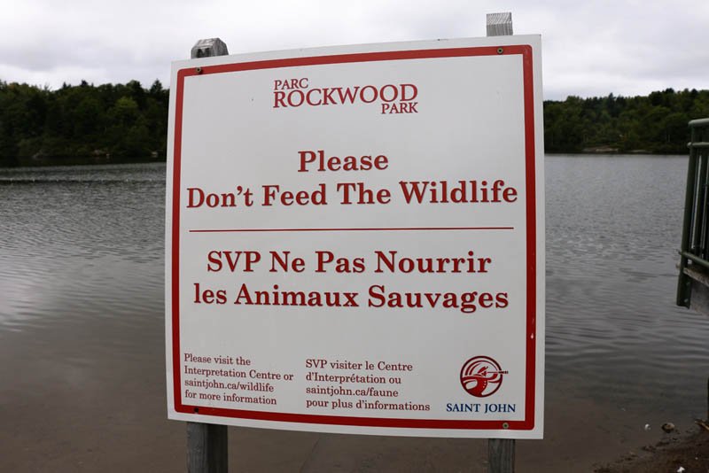 Rockwood Park (rockwoodpark) Twitter