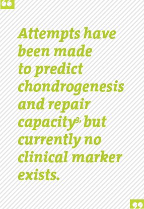AspetarJournal's tweet photo. Cell transplantation for cartilage repair https://t.co/WPE0grK1Kx https://t.co/gyPLnwdfmU