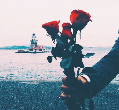 مدينة اسطنبوُل، حيث الجمال والطبيعه🌳💕🕊..