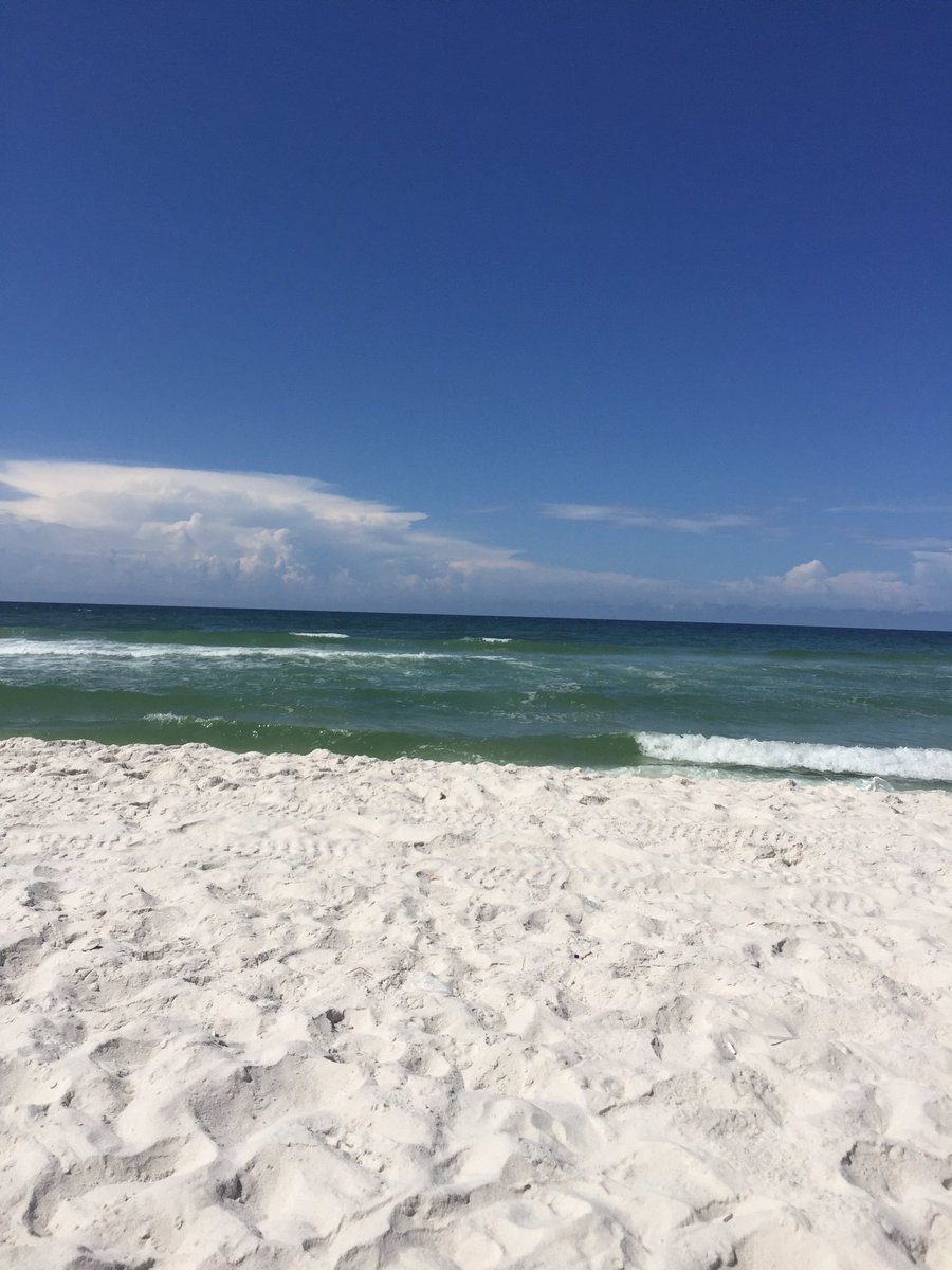 QuallsCarla's tweet photo. Monday news... Sunny and clear! ☀️🐊🌴👙#vacation #PCB https://t.co/1AC2jUDtzB