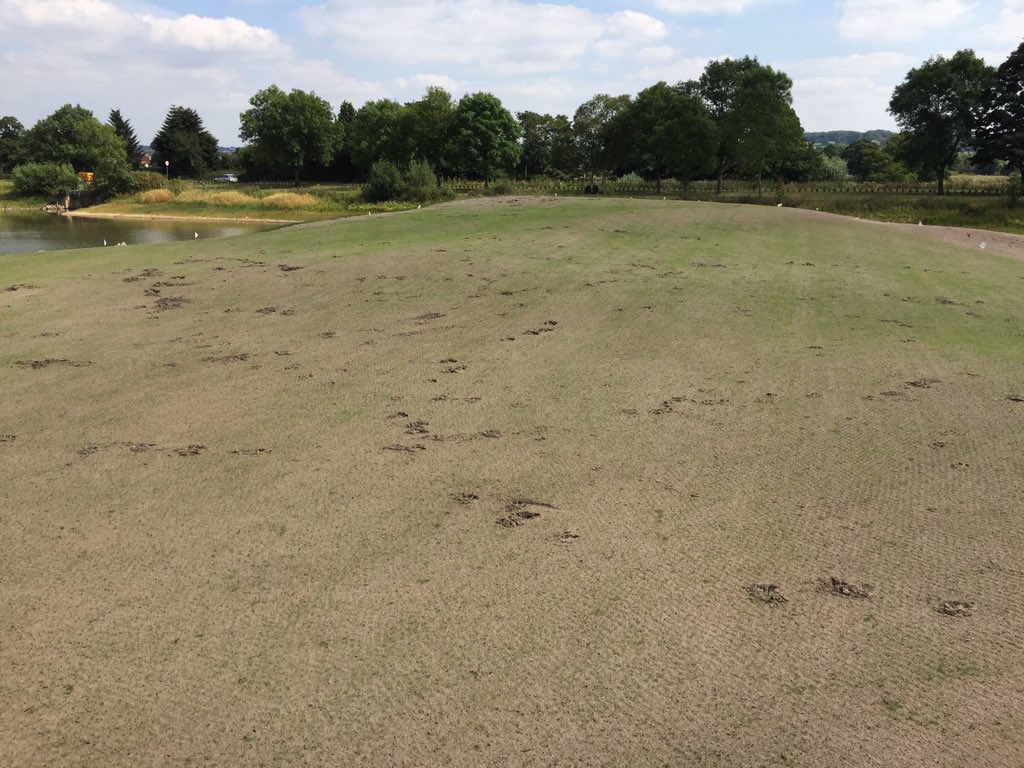 GoldenErthwrks's tweet photo. Some days you just wonder why you even bother #grumpygreenkeeper https://t.co/yWCEG1jpYw