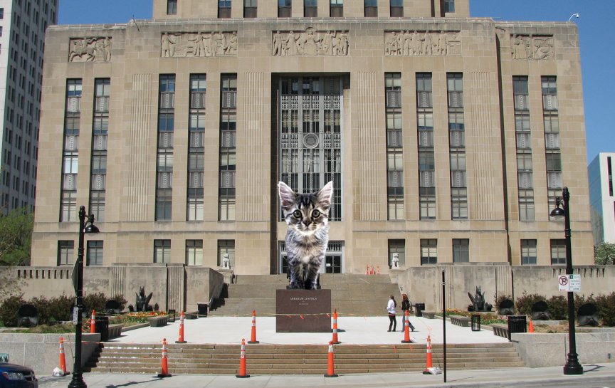 WaysideWaifs's tweet photo. I couldn't PAWS-sibly miss #KCMOSelfie @KCMO #CityHallSelfie day - Aphrodite #purrs https://t.co/APDhaEqVY7