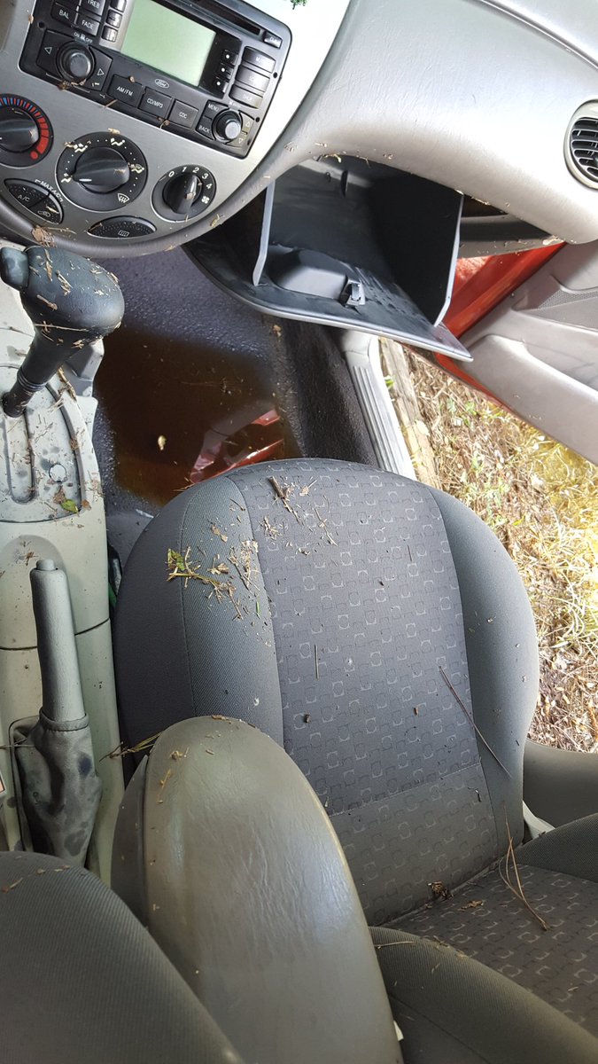 ElliotKai97's tweet photo. Well... gonna try and get her cleaned up and changed and see if she still works #SavingCar #PoorRobin https://t.co/aCM2SutA2P