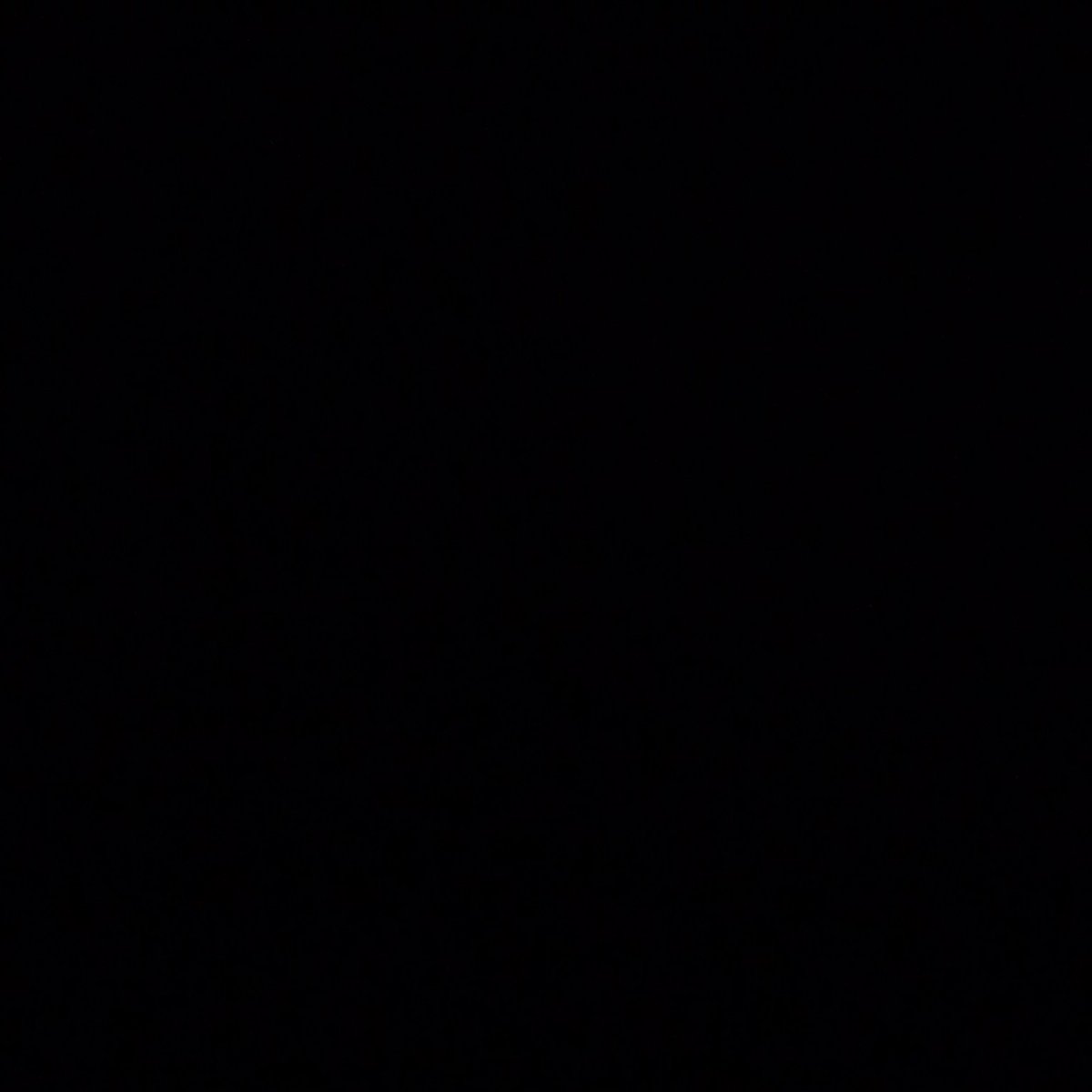 BendixenC's tweet image. "@randometweetotd: I like turtles"