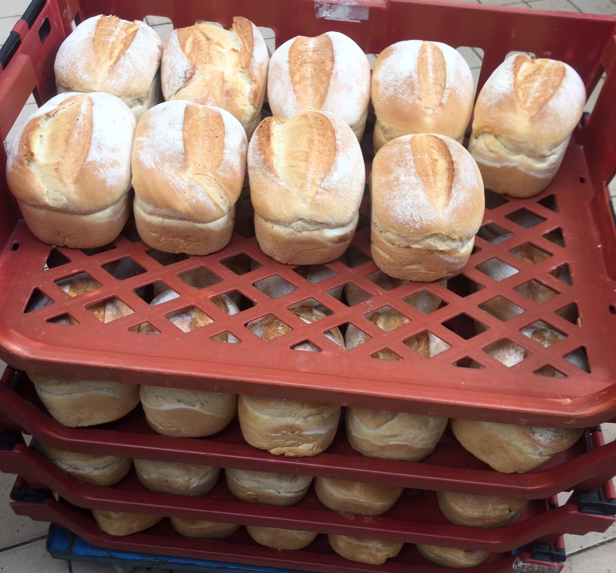 Small white farmhouse just coming out of the oven straight into the baskets #realbread #cotswoldbakers
