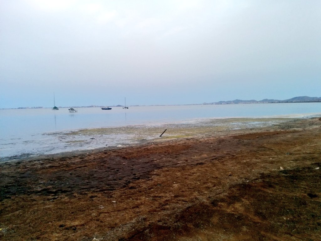 dayer's tweet photo. Playa con porquería y baño prohibido. Cortesía de @regiondemurcia y @magramagob para que críe el fartet. #MarMenor https://t.co/f2g7jPBEdW