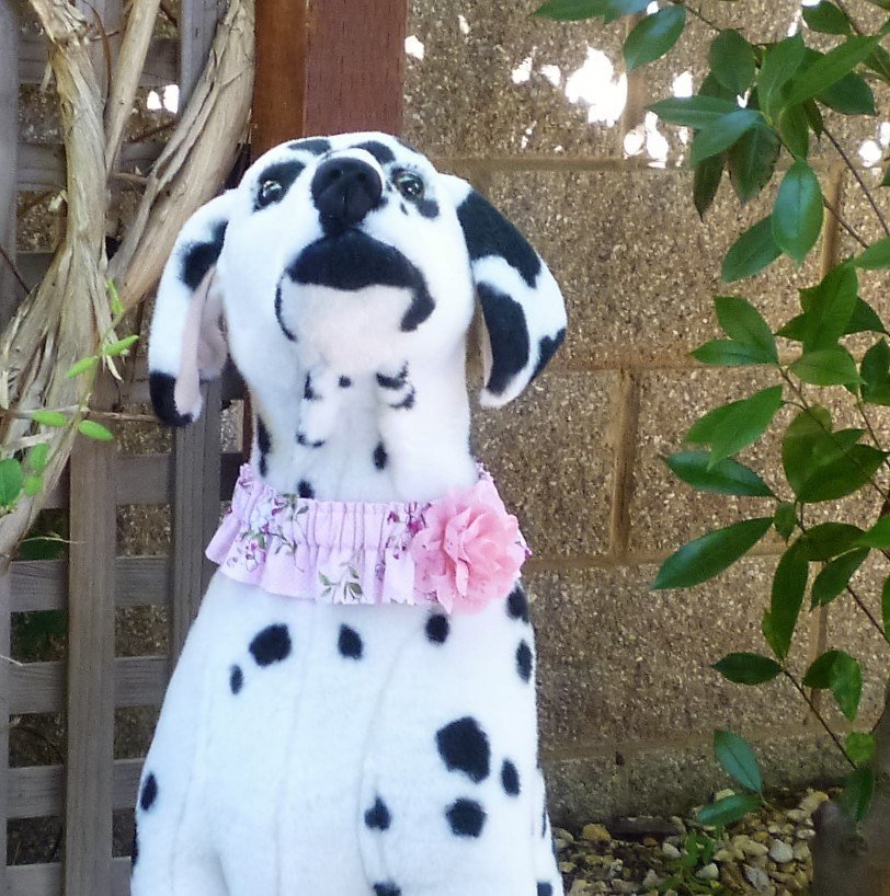 DazzlingDogz2's tweet photo. Cherry Blossoms Dog Scrunchie Collar with eyelet flower - XL: 18"… https://t.co/048cHdz6ZE #Etsy #PinkDogCollar https://t.co/LpZRj9az5k