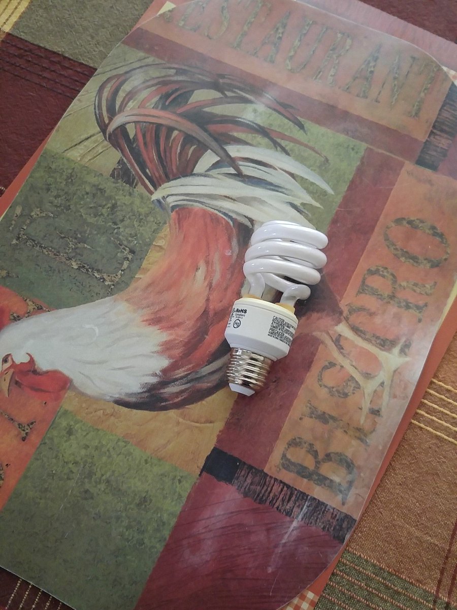 jwaynedonkson's tweet image. Stream will be live. Right after I go to the store and replace this light bulb. #greenscreenproblems