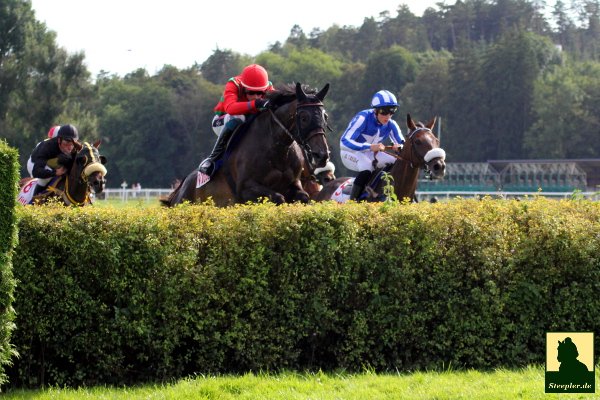 The brilliant AUDIENTIA wins in France under a fine ride by <a href="/mjquinlan84/">Mark @ HQ Equestrian</a>