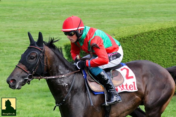 AUDIENTIA and Mark Quinlan <a href="/mjquinlan84/">Mark @ HQ Equestrian</a> #dreamteam