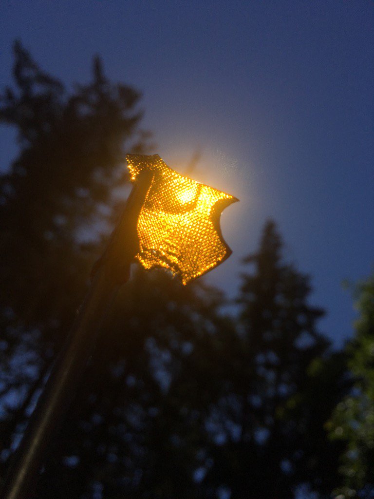 goochygardens (@goochygardens) on Twitter photo 