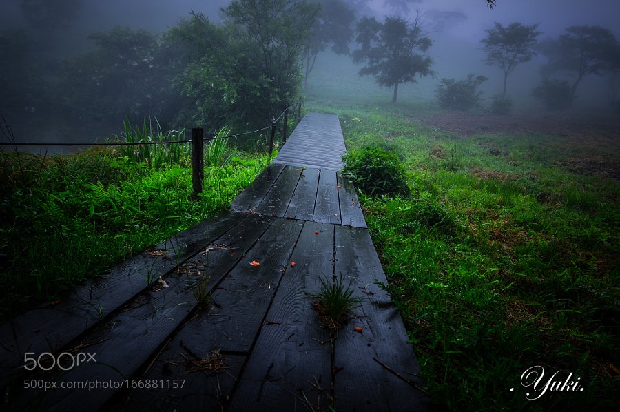 edaccessible's tweet photo. 霧の内山牧場 by yuki_ via https://t.co/SxSifIyUOT @cindycapo @debraruh @wittier @jestepar #Nature #Photography #Travel #L… https://t.co/SJxKhOAmC8