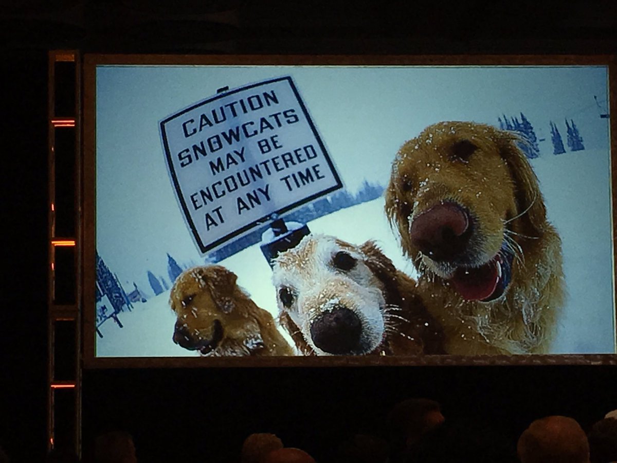 briczaj's tweet photo. Vail RFID&amp;Epic Mix app outcome of Robert Urwiler spending time w/CMO. No 'Ruff' patches, just smooth skiing #CIO100 https://t.co/Z0x2QfdaQi