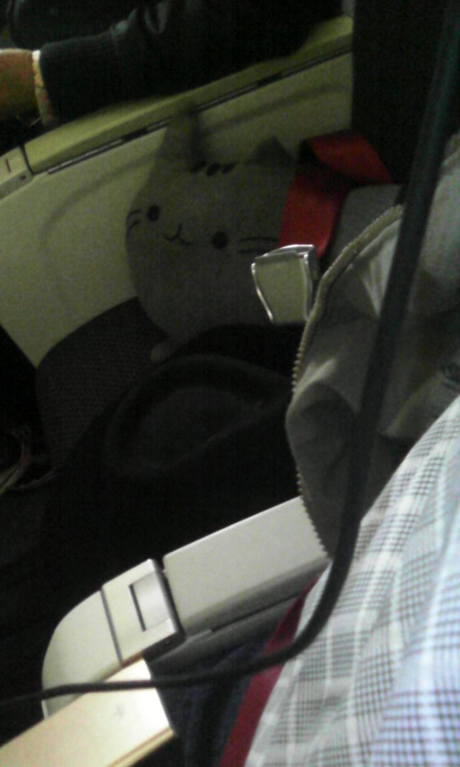 peruhacking's tweet photo. Pusheen ira cómodo hoy, rumbo al #Coneisc @coneisc2016 @apeisc https://t.co/J4nSqKPKWV