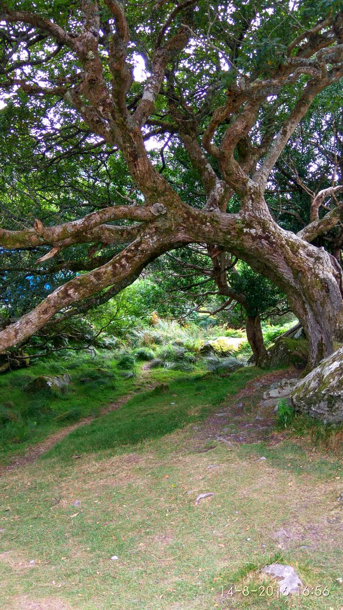 AndreaLG21's tweet photo. Ring of kerry https://t.co/qREMFrArbs