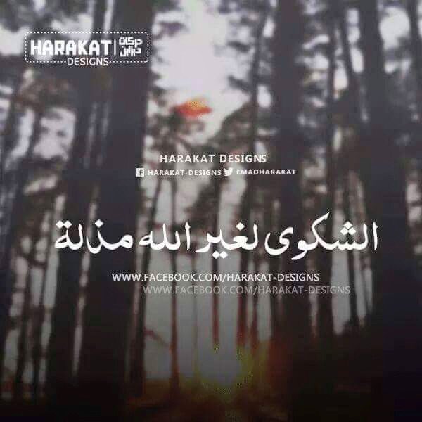 EslamAsalya's tweet photo. يااااارب سترك https://t.co/yI5wXKXHTL
