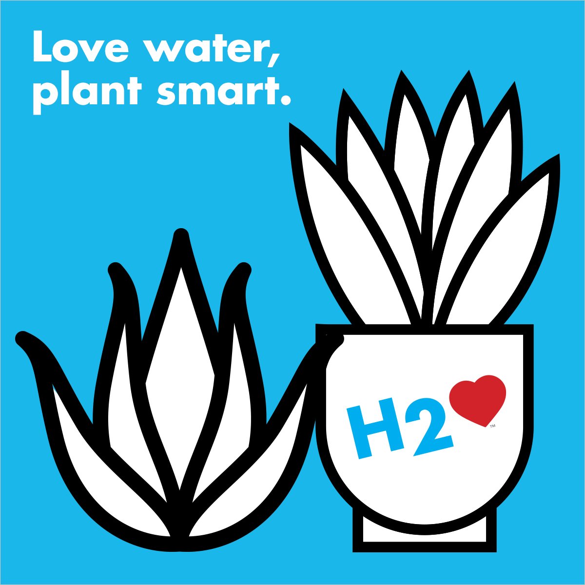 mwdh2o's tweet image. Love grows strong when you replace your lawn with #CAFriendly plants. Save hundreds of gallons each week #H2Love